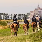 Nature Mont St-michel Genêts