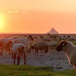 Nature Mont St-michel シャレー