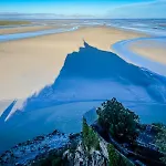 Nature Mont St-michel Genêts