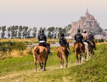 Nature Mont St-michel Genêts