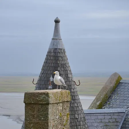 Nature Mont St-michel