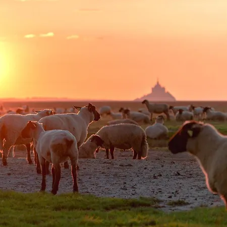 Nature Mont St-michel Domek alpejski