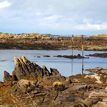Nature Mont St-michel Genêts