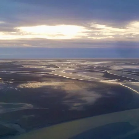 Nature Mont St-michel Genêts