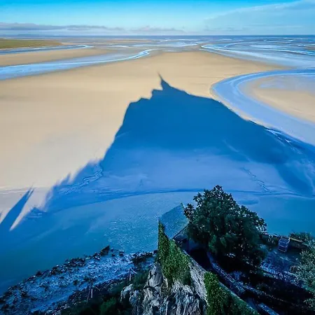 Nature Mont St-michel Genêts