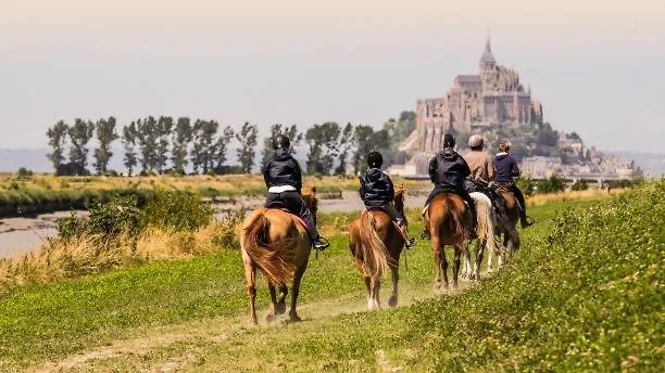 Nature Mont St-michel Genêts