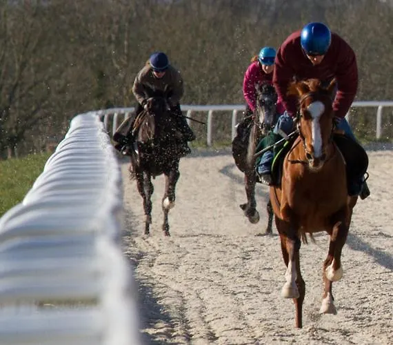 Nature Mont St-michel *