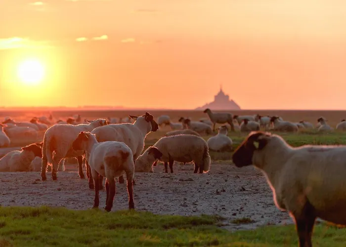 Nature Mont St-michel 木屋
