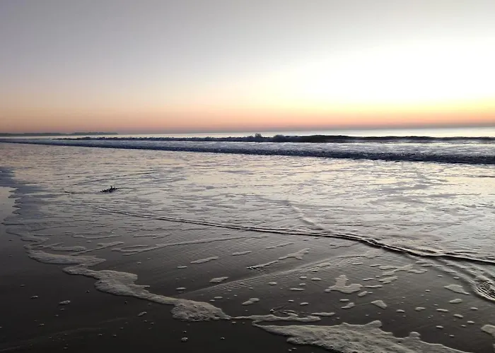 Nature Mont St-michel * Genêts