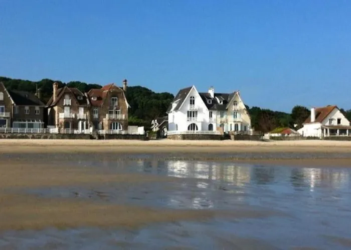 Nature Mont St-michel Genêts