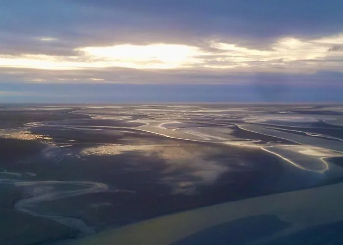 Nature Mont St-michel Genêts