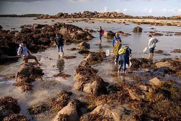 Nature Mont St-michel *