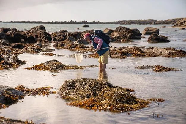 木屋 Nature Mont St-michel *