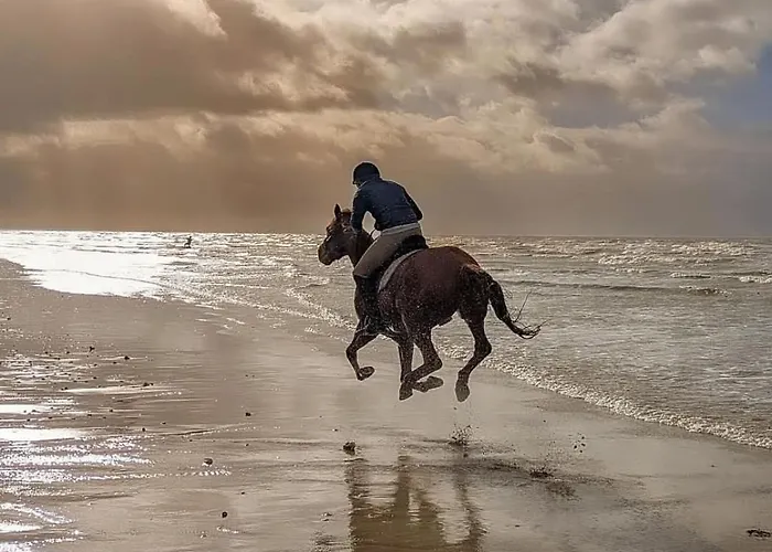 木屋 Nature Mont St-michel
