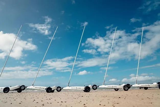 Nature Mont St-michel * Genêts