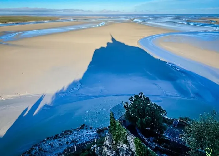 Nature Mont St-michel Genêts
