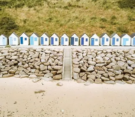 Nature Mont St-michel * Genêts