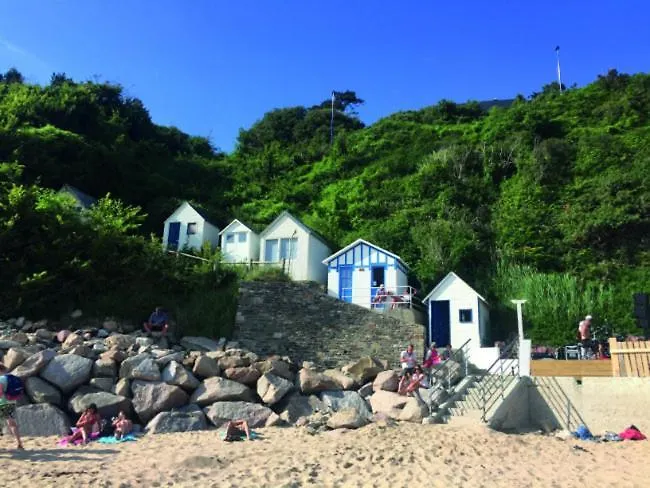 Nature Mont St-michel Genêts