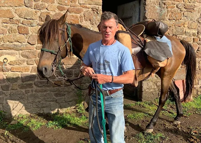 Nature Mont St-michel *
