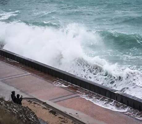 Nature Mont St-michel